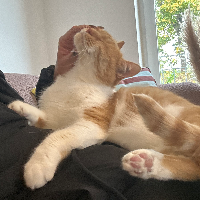 Photo of Mateo 🧡 (Other)