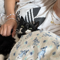 Photo of Ben (Other)