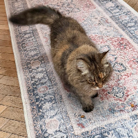 Photo of Esme (Other)