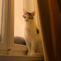 Photo of Karla & Noomi (Other)