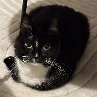 Photo of Meggie 💙 (Other)