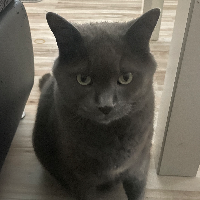 Photo of Alex  (Other)