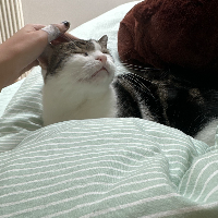 Photo of Mira (Other)