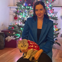 Photo of Varya (British Shorthair)