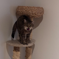 Photo of Bobby (Other)