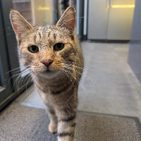 Photo of Dave (Other)