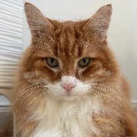 Photo of Kato (Other)