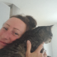 Photo of Mab (Tabby)