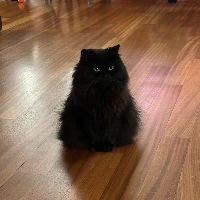 Photo of Olivia (Other)