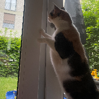 Photo of Maya  (Other)