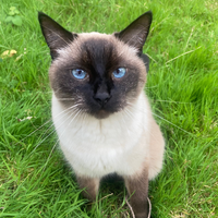 Photo of Little One (Other)