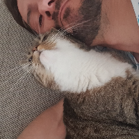 Photo of Josie (Other)