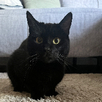 Photo of Barti (Other)