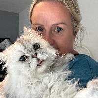 Photo of Elvis (Persian)