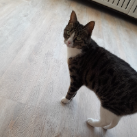 Photo of Lilly (Other)