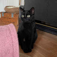 Photo of Yuki (Other)