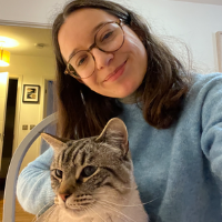 Photo of Bertie (Moggy)