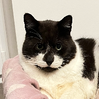 Photo of Rudi (Other)