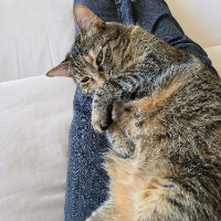 Photo of Tequila (Other)