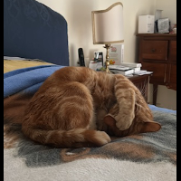 Photo of Soffio (Other)