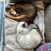 Photo of Herbert und Marusya (Other)