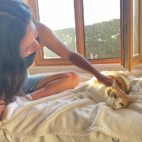 Photo of Gracie (Other)