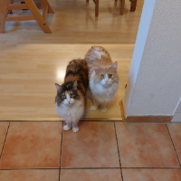 Photo of Artie und Lila (Other)