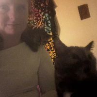 Photo of Meine Gina am liebsten auf dem Rücken und Lili die gute Seele  (British Shorthair)