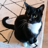 Photo of Sancho (Other)