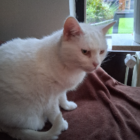 Photo of ..und LINA ♥ (Other)