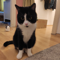 Photo of Roland  (Other)