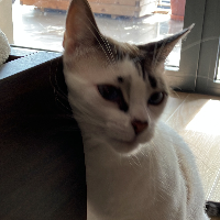 Photo of Fufina (Other)