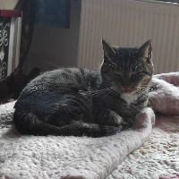 Photo of Sophie (Other)