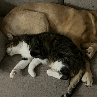 Photo of Rene’ (Other)