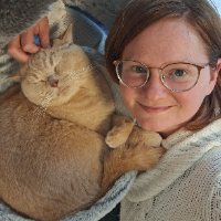 Photo of 2025 Bran (British Shorthair)