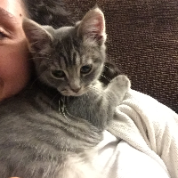 Photo of Chica (Other)