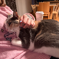 Photo of Maya  (Other)