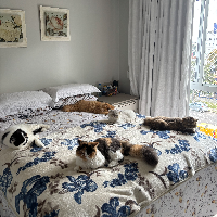 Photo of The whole family (Persian)
