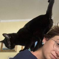 Photo of Salem (Other)