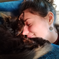 Photo of Châtaigne  (Moggy)