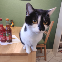 Photo of Frido (Other)