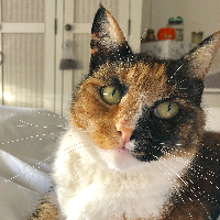 Photo of Jessie (Other)