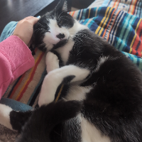 Photo of Carlos (Other)