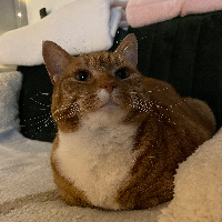 Photo of Heidi (Other)