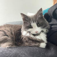 Photo of Mercy (Other)