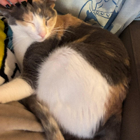 Photo of Maya (Other)