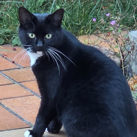 Photo of Paulina (Other)