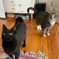 Photo of Mia & Miko (Other)