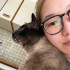 Profilbild für Ly N
