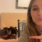 Profilbild für Isabel S